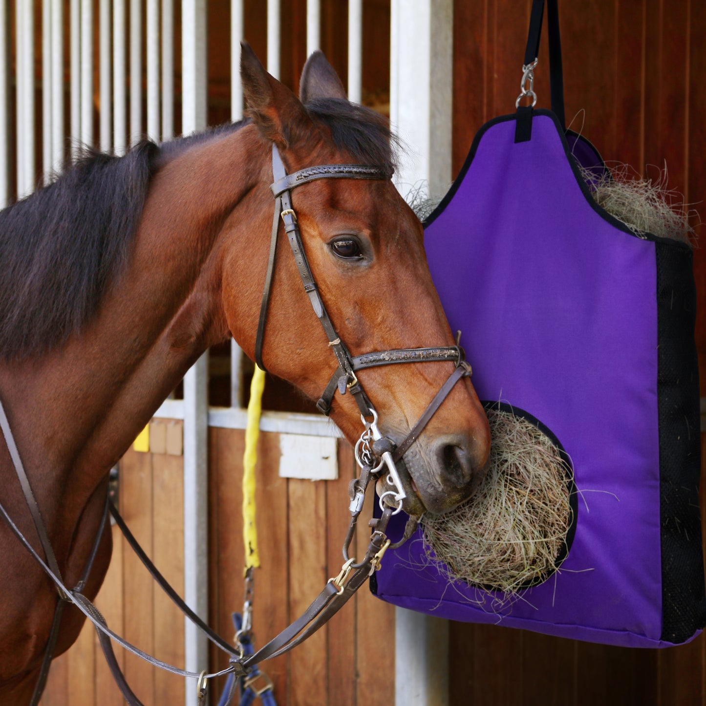 HIRQUITICKE 2 Pack Premium Durable Horse Slow Feed Hay Bag with Metal Snap Fastener and Heavy Adjustable Strap